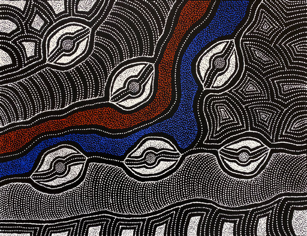 My Country by Delvine Pitjara