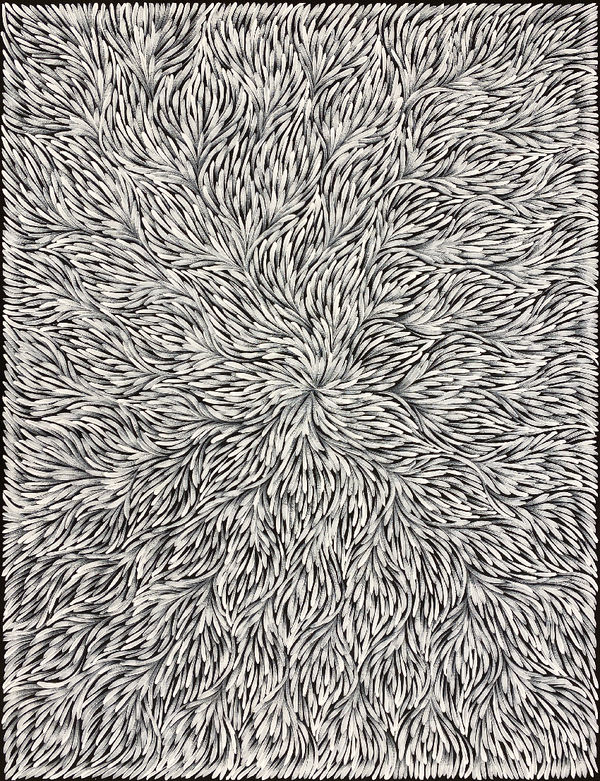 Bush Medicine Leaves by Patricia Kamara, 2023