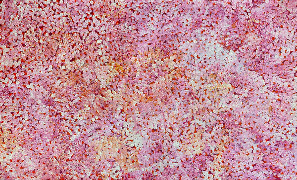 Bush Plum Dreaming by Bessie Pitjara