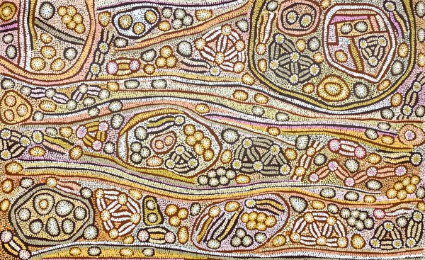 Bush Raisins by Esther Bruno Nangala