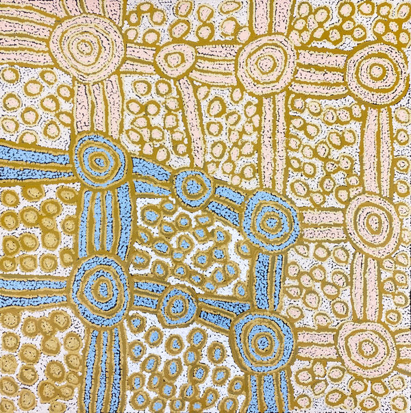 Tjintjintjin (My Mother's Country) by Debra Young Nakamarra