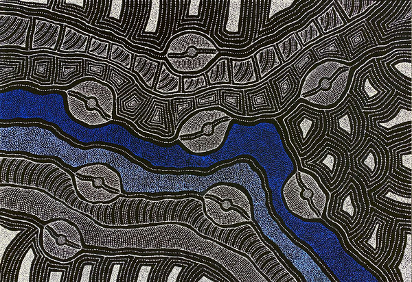 My Country by Delvine Pitjara