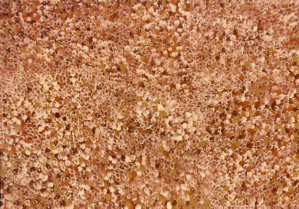 Bush Plum Dreaming by Kate Pitjara, 2025