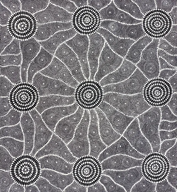 Bush Medicine by Sabrina Spencer