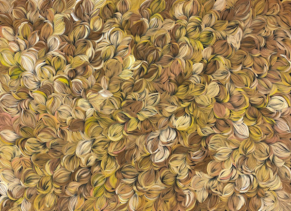 Bush Leaf Medicine by Jacinda Hayes