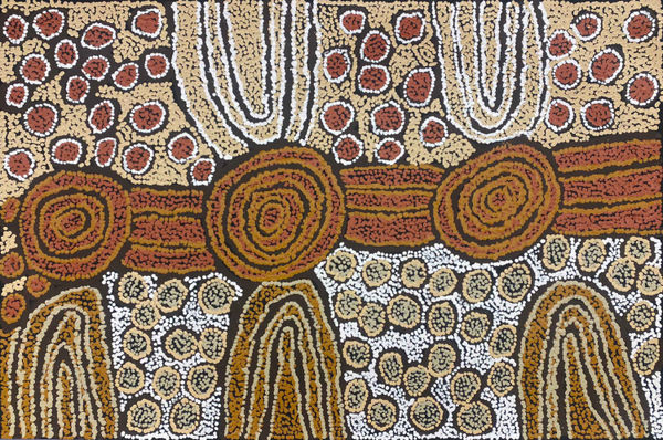 Tjintjintjin (My Mother's Country) by Debra Young Nakamarra