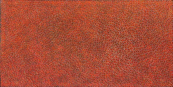 Bush Plum Dreaming by Cindy Morton