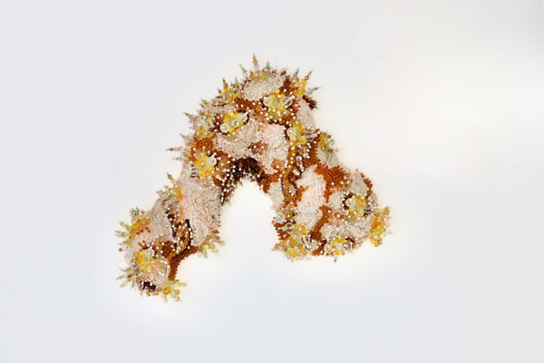 Sahlah Davids Delicate II, 2026 82 x 56 x 22 cm Mixed media assemblage