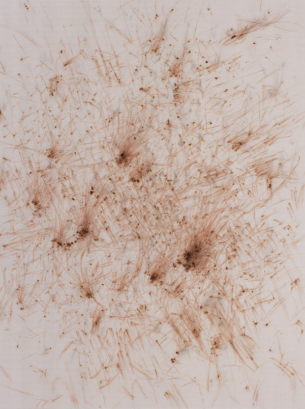 Thomas Wachholz, Matches 5, 2017