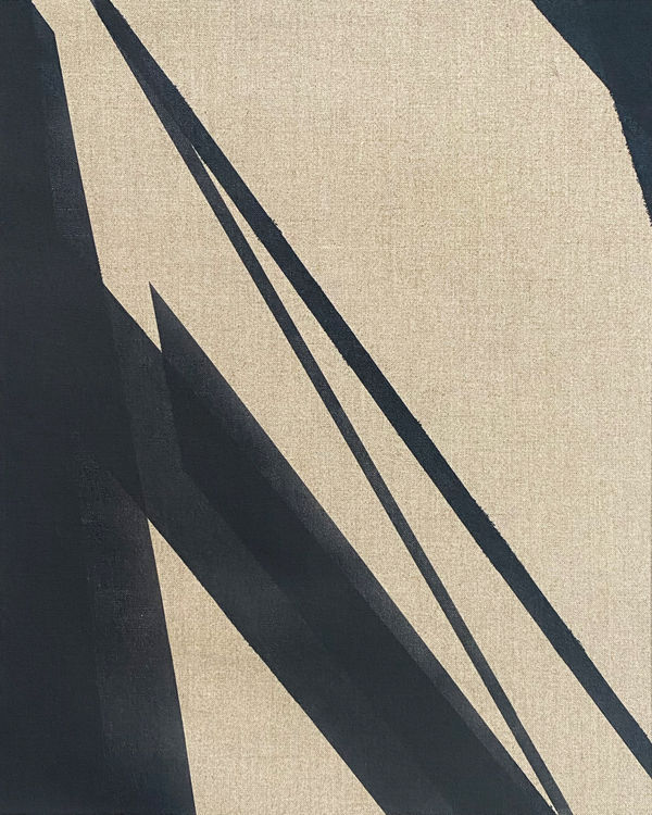 Katarzyna Stefańczyk, Shadow Painting 15 April 2023, 12:22pm - 18 April 12:15pm, 2023