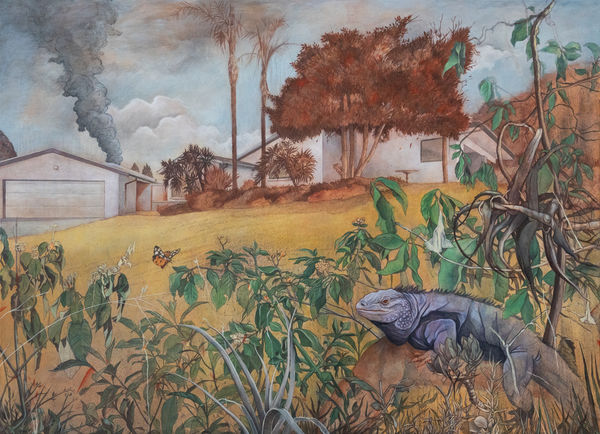 Andrew Kayser, Go to Sleep, 2020