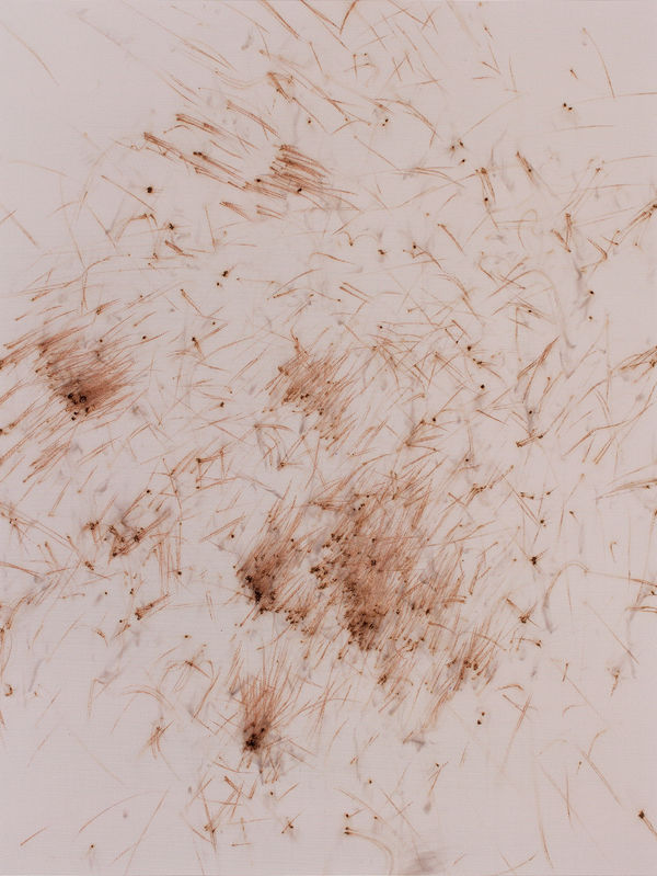 Thomas Wachholz, Matches 7, 2017