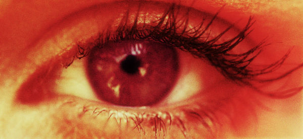 Sam Samore, SYDNEY, 2012