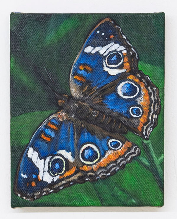 Matteo Callegari Venus, 2021 Oil on indian linen 25 x 20 cm