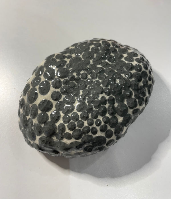 Elsa Mora, Metamorphic Memories, 2024