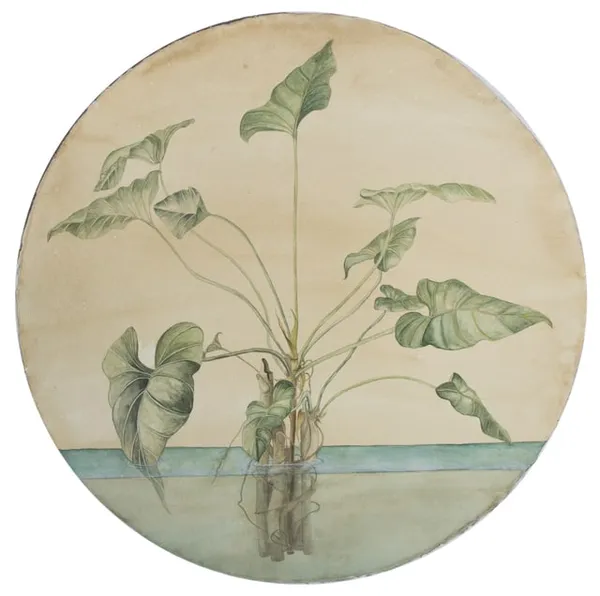 Gabriela Pez, Water Garden, 2019