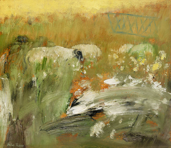 Helen Tabor Sheep amongst the Thistles Oil on board 19 x 21 "