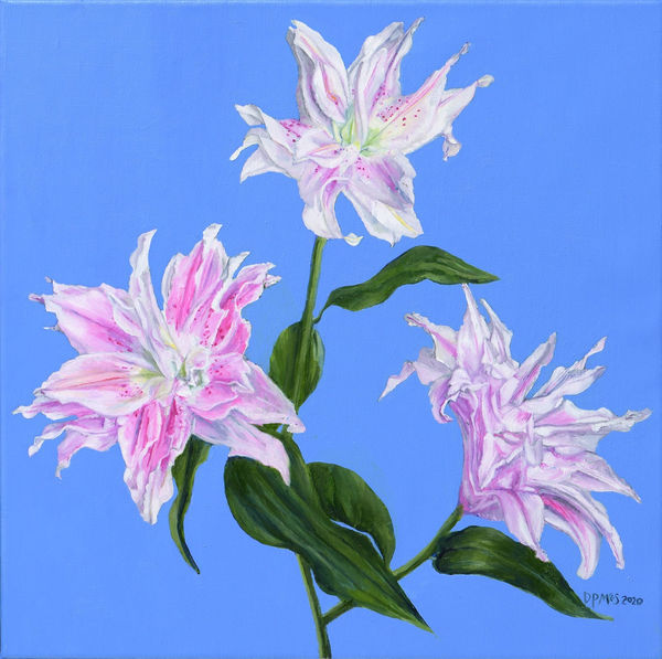 Dale Pring MacSweeney, Rose Lilies