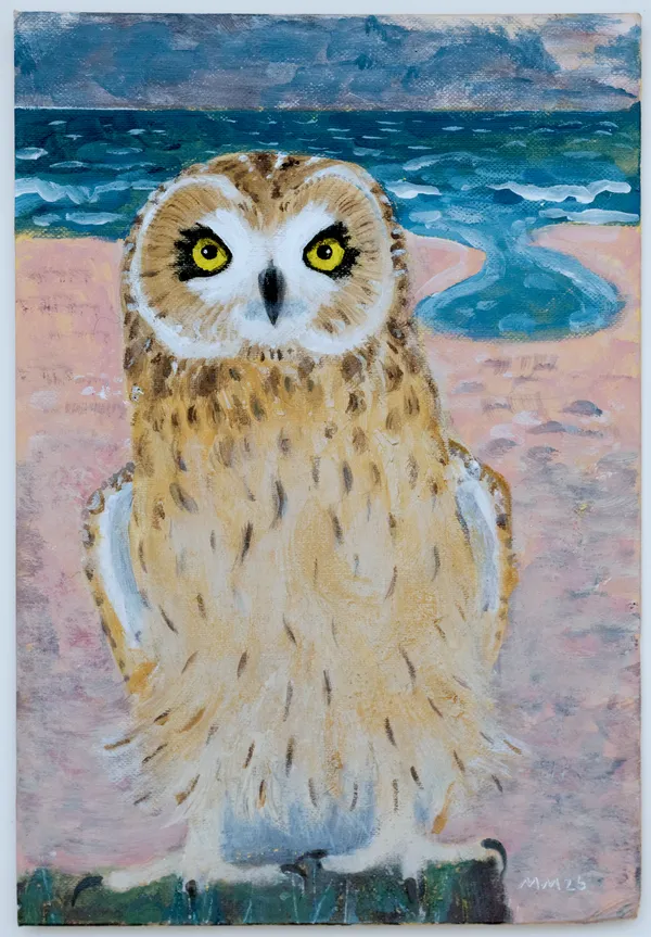 Mick Manning, The Tourist