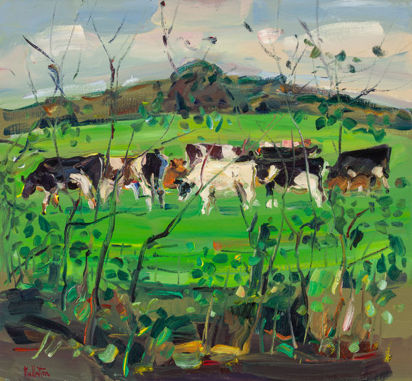 James Fullarton Grazing Cattle Oil on linen 24 x 26 " 61 x 66 cm