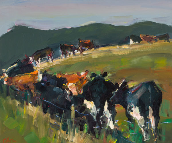 James Fullarton Cattle by Gass Farm Oil on board 20 x 24 " 50.8 x 61 cm