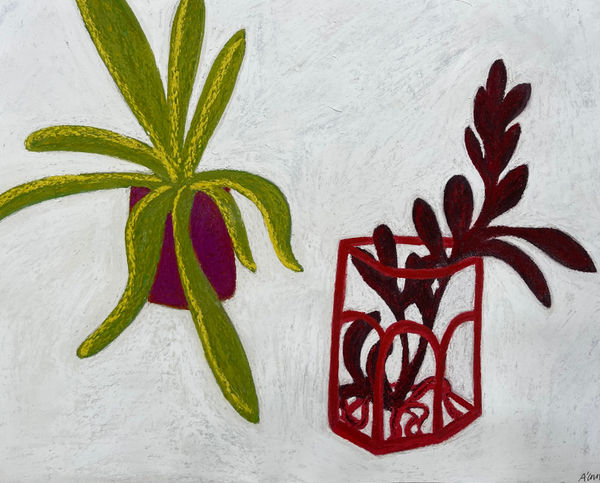 Angela A'Court PS, Maggie's Plants