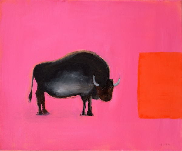 Andrew Squire, Bison