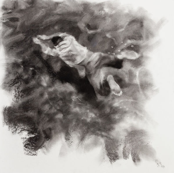 Patsy McArthur The Explorer Charcoal on paper mounted on panel 30 x 30 "