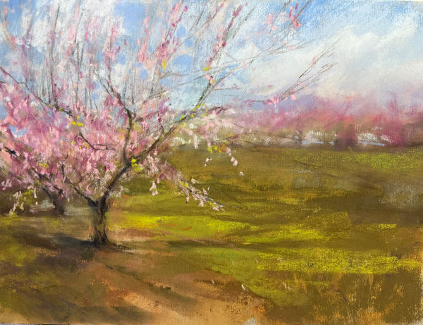 Cindy Crimmin, Spring in the Orchard, 10.5x13.5
