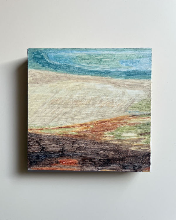 Caitlin Allison, View over Skinnet, 2025