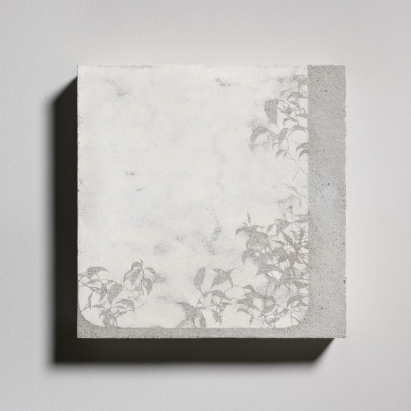 採光No. 22 Daylighting No. 22