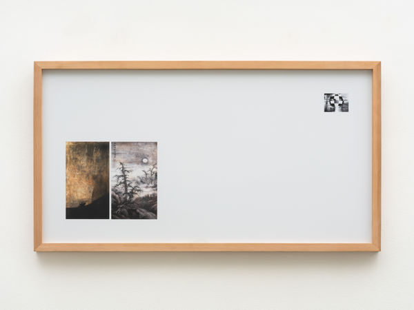 Park Chan-Kyong, Dog and Star, 2009