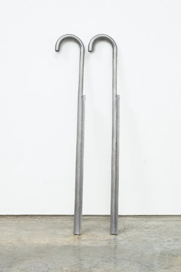 Chung Seoyoung (b. 1964), Cane, 2013