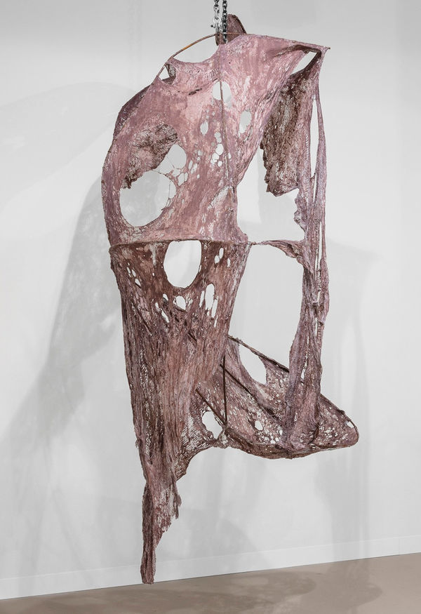 Mire Lee, Skin Sculpture from Open Wound: T19, 2024