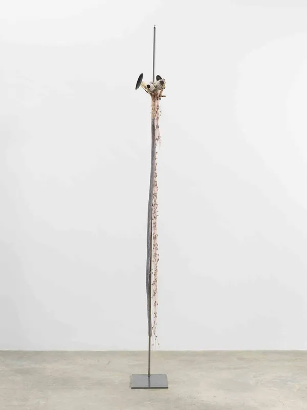 Minouk Lim (b. 1968) Lonesome Viewer, 2022 Wood cane, cuttlebone, barnacle shell, kalopanax thorn, latex cord, metal plate Dimensions: 75 1/2 x 11 1/2 x 6 inches 191.8 x 29.2 x 15.2 cm Metal Plate Dimensions: 12 x 12 inches 30.5 x 30.5 cm Stand Dimensions: 91 inches 231.1 cm
