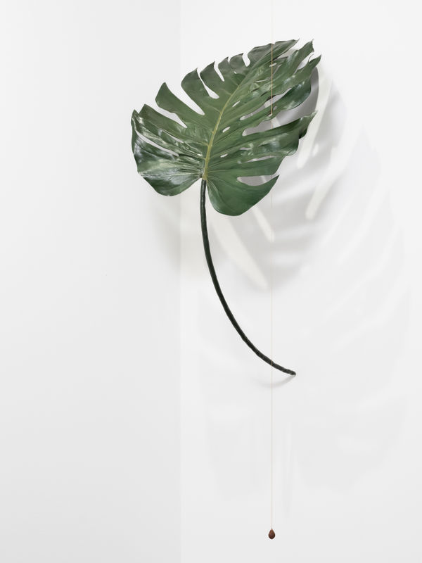 Tania Pérez Córdova, Monstera, 2022