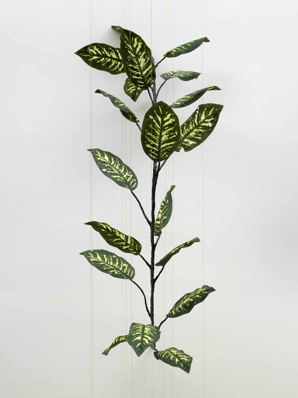 Tania Pérez Córdova, Amoena (90% chance of rain), 2022