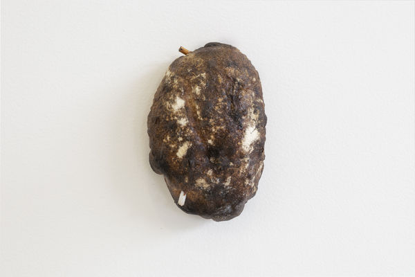 Tania Pérez Córdova (b. 1979) Huelga (Strike), 2018 Bread baked with cigarette butts. Dimensions variable.