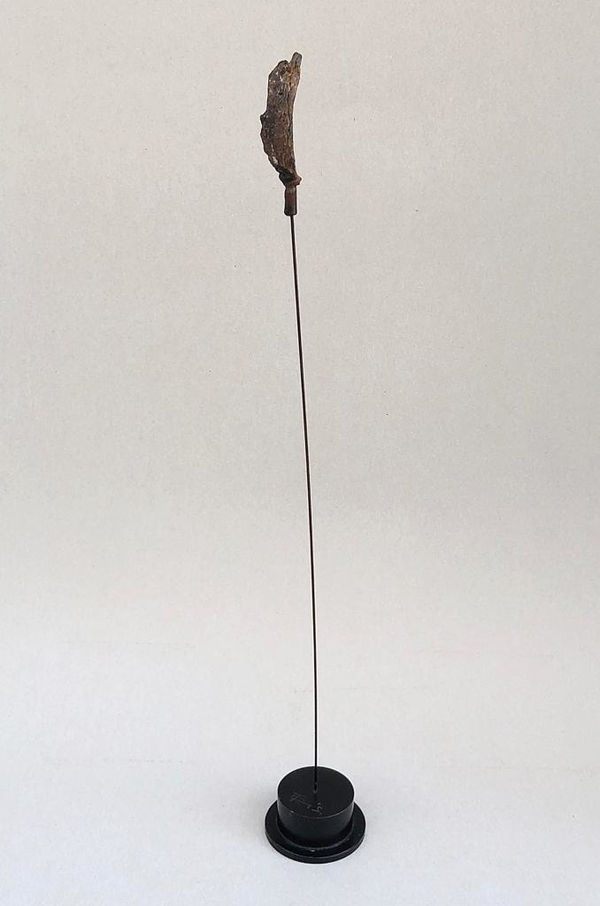 Takis, Signal , 1972