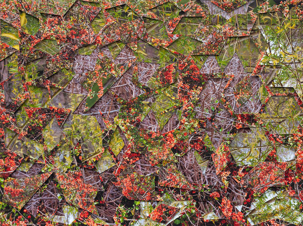 Gohar Dashti, Untitled #1, 2023