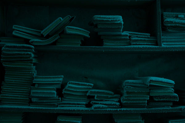 Evgenia Arbugaeva, Untitled 80, 2018