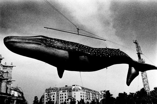 Daido Moriyama, Untitled, 1989