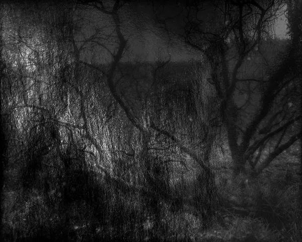 Nicholas Hughes, Untitled #13, 2025