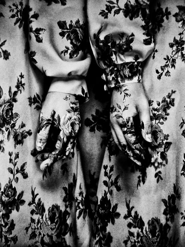 Daido Moriyama, Dog and Mesh Tights