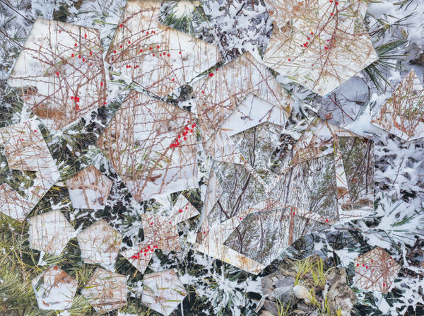 Gohar Dashti, Untitled #3, 2023