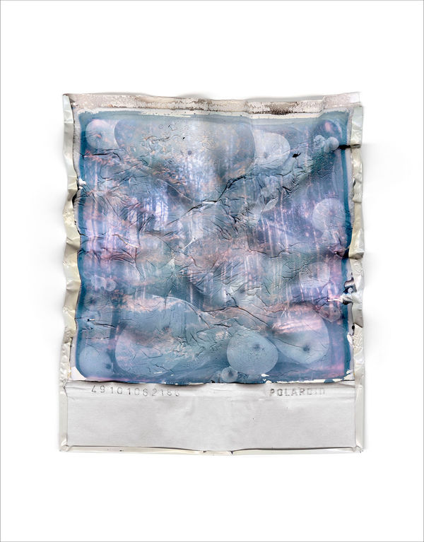 Gohar Dashti, Disappearing Nature #14, 2022