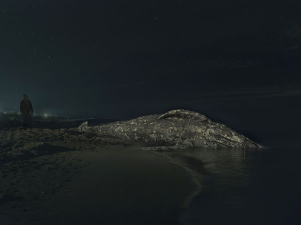 Evgenia Arbugaeva, Untitled 91, 2019-2020