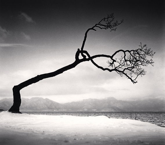 Michael Kenna, Kussharo Lake Tree, Study 16, Kotan, Hokkaido Japan, 2009