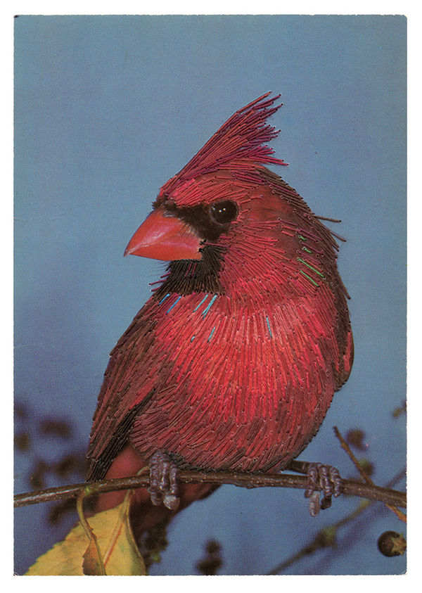 Julie Cockburn, Red Bird, 2024