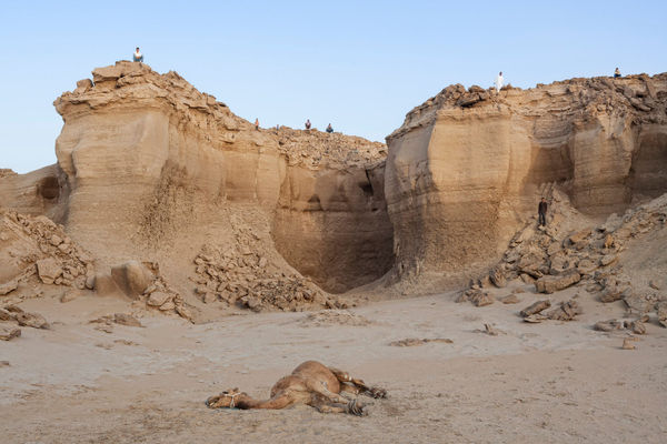 Gohar Dashti, Stateless #4, 2014-15